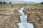 آسیب جدی کشاورزان مهاجر به منابع آبی لرستان