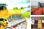 بهره‌برداری از ۳۹ پروژه بخش کشاورزی لرستان طی هفته دولت