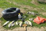 دستگیری متخلفین صید ماهی با مواد منفجره