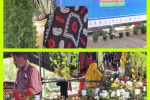 بیش از ۹۰۰ هکتار گل محمدی در لرستان کشت می شود