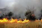 مهار آتش سوزی در مزارع گندم منطقه «بدرآباد» خرم‌آباد